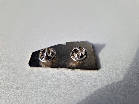Pin V8power Sven Boekestijn
