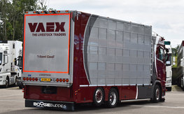 Spatlap Boogie Buddies